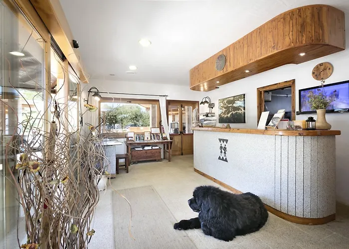 卡普里乔利公寓 公寓式酒店 切尔沃港