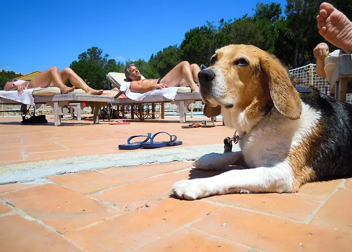 卡普里乔利公寓 4*