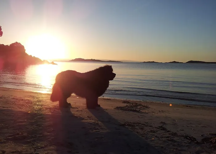 Residenza Capriccioli شقة فندقية بورتو كيرفو