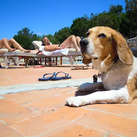 Residenza Capriccioli 3* Porto Cervo