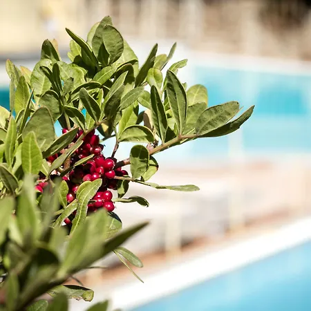 Aparthotel Residenza Capriccioli Porto Cervo