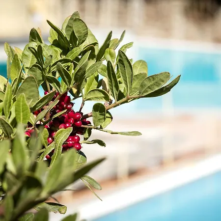 Apartahotel Residenza Capriccioli Porto Cervo