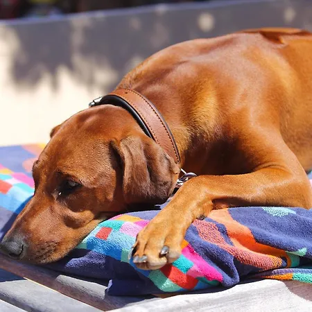 Residenza Capriccioli Apartahotel 4*