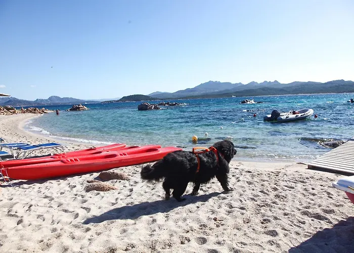 Residenza Capriccioli