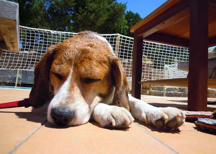 Residenza Capriccioli Aparthotel 3*