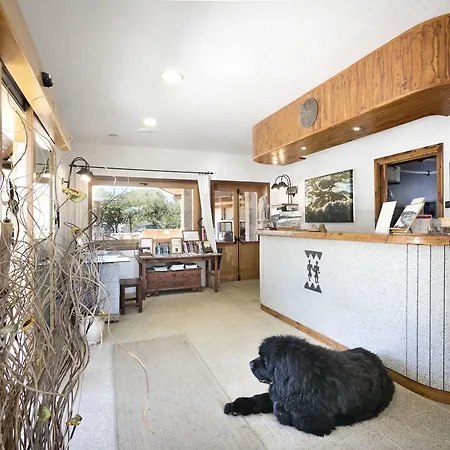 卡普里乔利公寓 公寓式酒店 切尔沃港