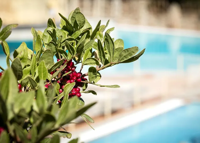 Aparthotel Residenza Capriccioli Porto Cervo